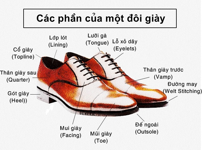 ce1baa5u-trc3bac-ce1bba7a-1-c491c3b4i-gic3a0y-1 c%E1%BA%A5u tr%C3%BAc c%E1%BB%A7a 1 %C4%91%C3%B4i gi%C3%A0y giày da thật, giày da nam FTT leather