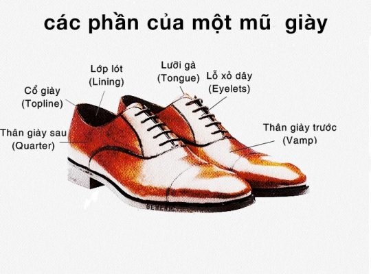 ce1baa5u-trc3bac-ce1bba7a-1-c491c3b4i-gic3a0y5456-540x400-1 cấu trúc của 1 đôi giày5456 giày da thật, giày da nam FTT leather